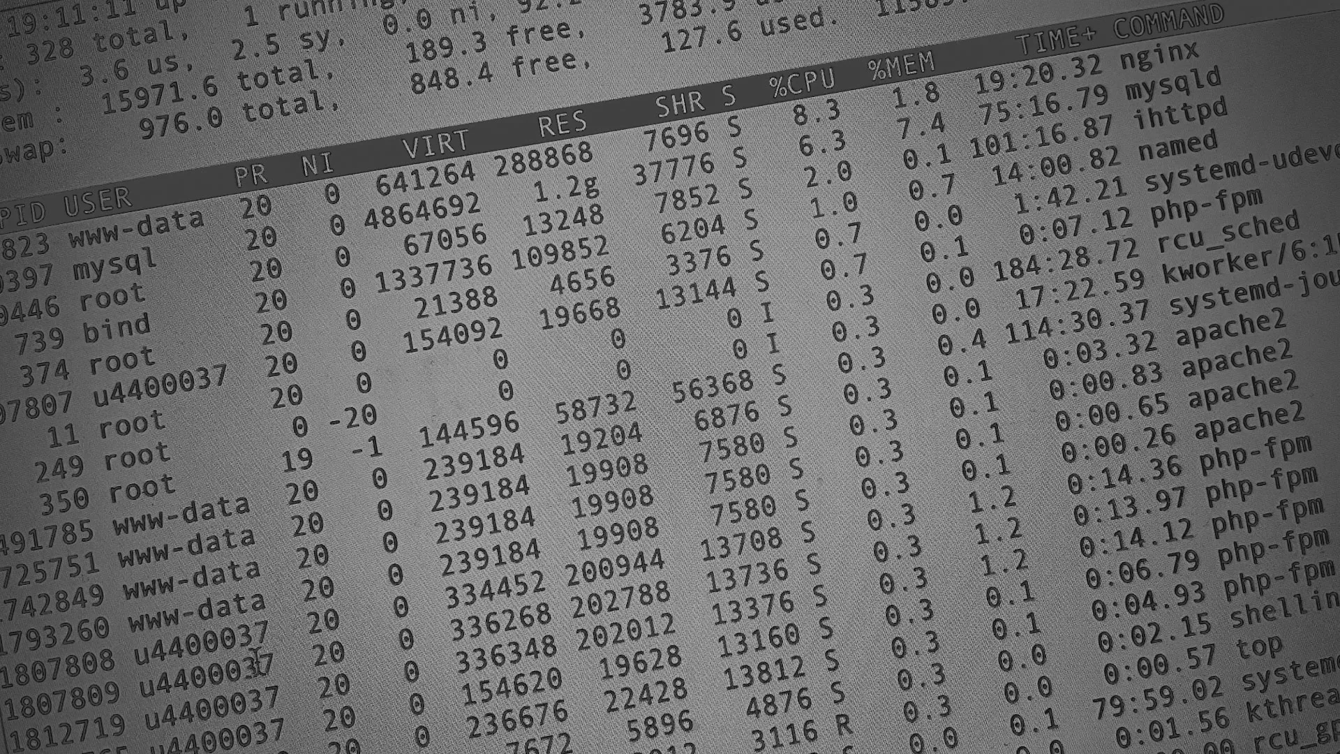 Настройка сервера в Нерехте