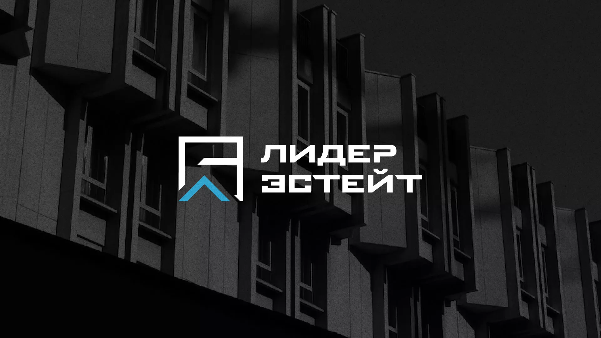 Разработка логотипа агентства недвижимости «Лидер Эстейт» в Нерехте